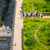 Green Roofs Take Root