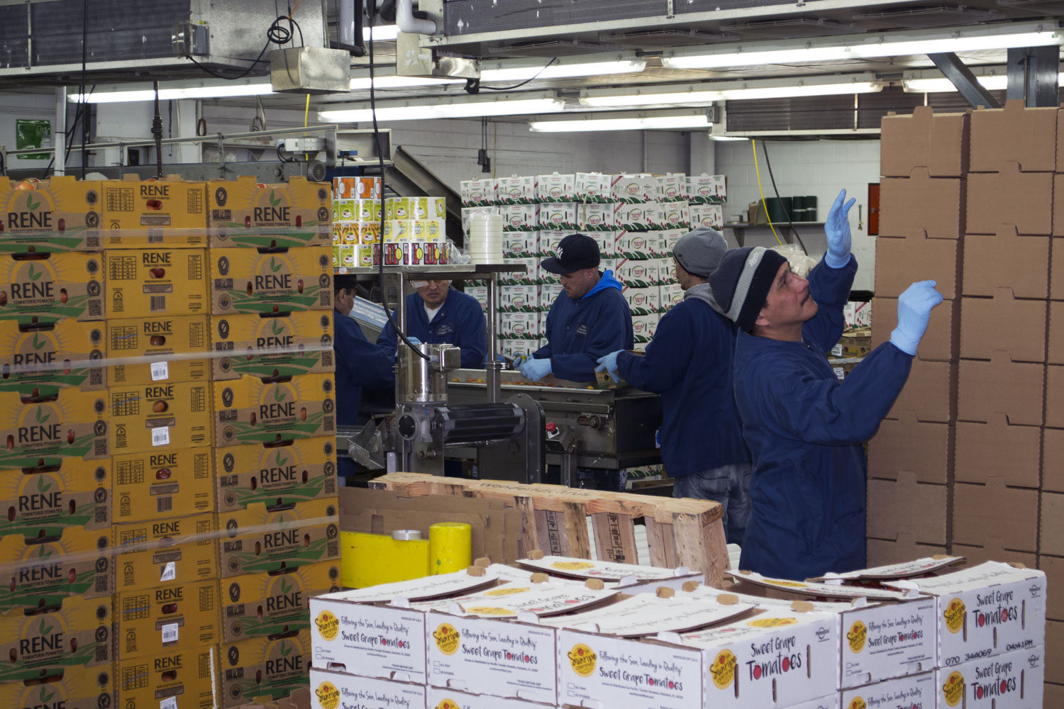 Workers in warehouse remote refrigeration controls